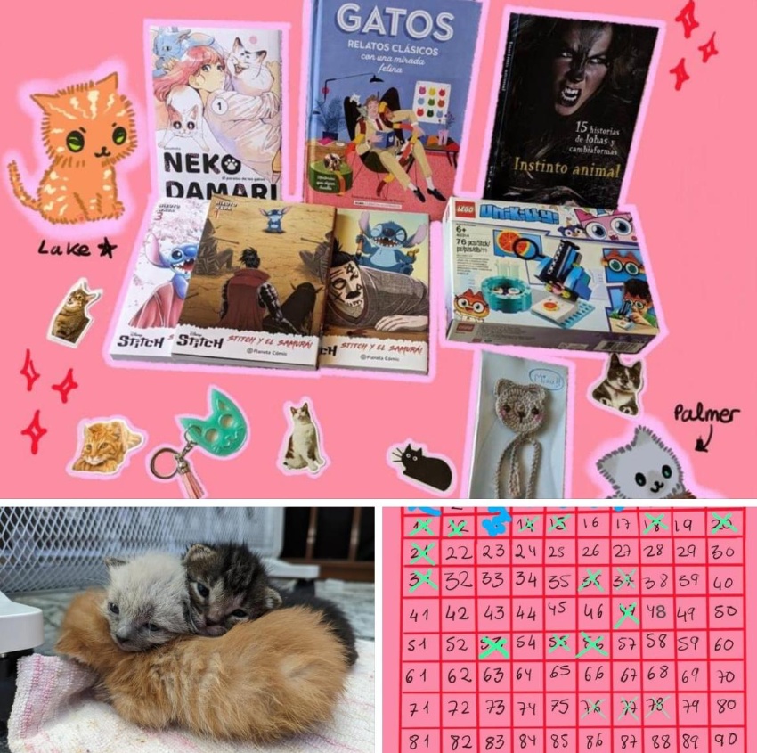 Sorteo AVBA Animales Sorteo AVBA Animales